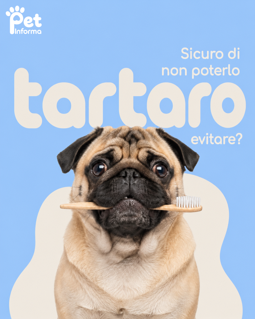 Grafica con un cane carlino al centro e la scritta "Tartaro. Sei sicuro di non poterlo evitare?"
